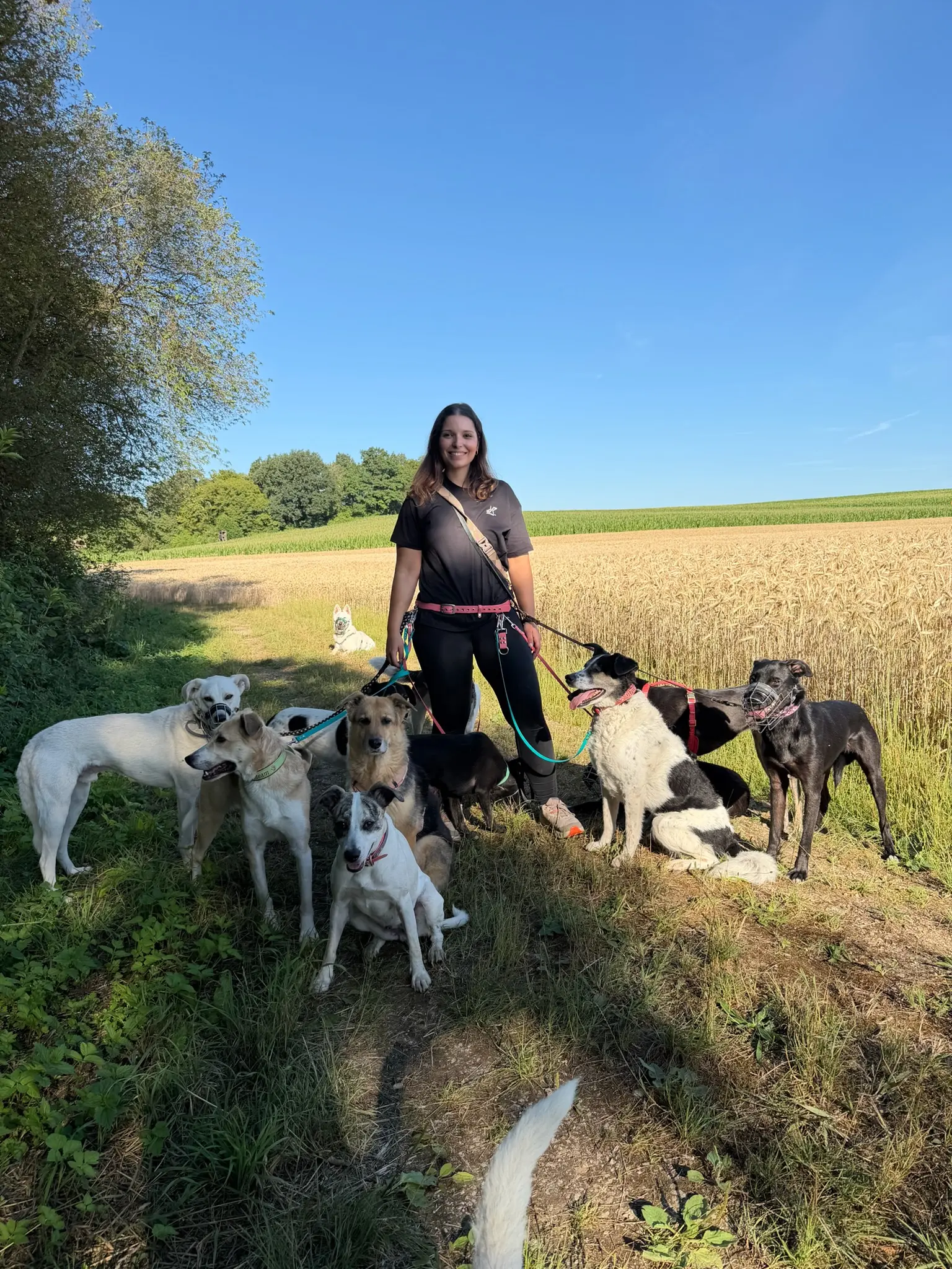 Melissa von DailyPaw unterwegs mit Hund